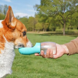Home Portable Pet Water Bottle