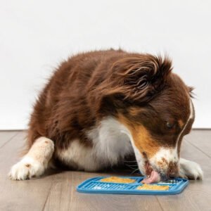 Home Dog Cat Slow Feeder Lick Mat