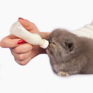 Home Puppy Kitten Newborn Animal Nursing Care Set